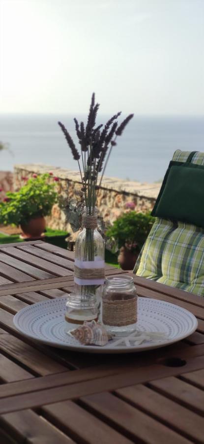 Villa Nereid Glafki - Enjoy Summer Sunsets Áyios Nikítas Exteriér fotografie